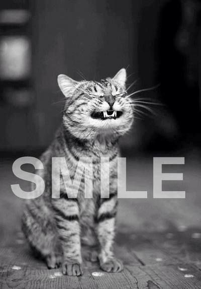 Uśmiech proszę ! ;3