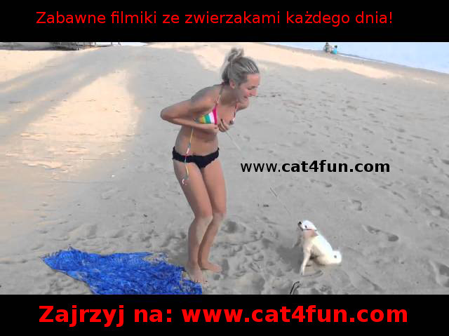 www.cat4fun.com