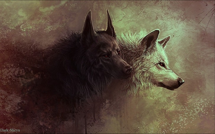 A we mnie samym wilki dwa
Oblicze dobra oblicze zła
Walczą ze sobą nieustannie
Wygrywa ten którego karmię