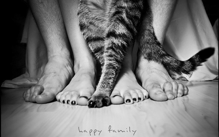 happy family